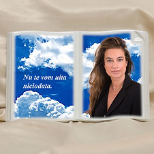 Fotoceramica Carte Colt